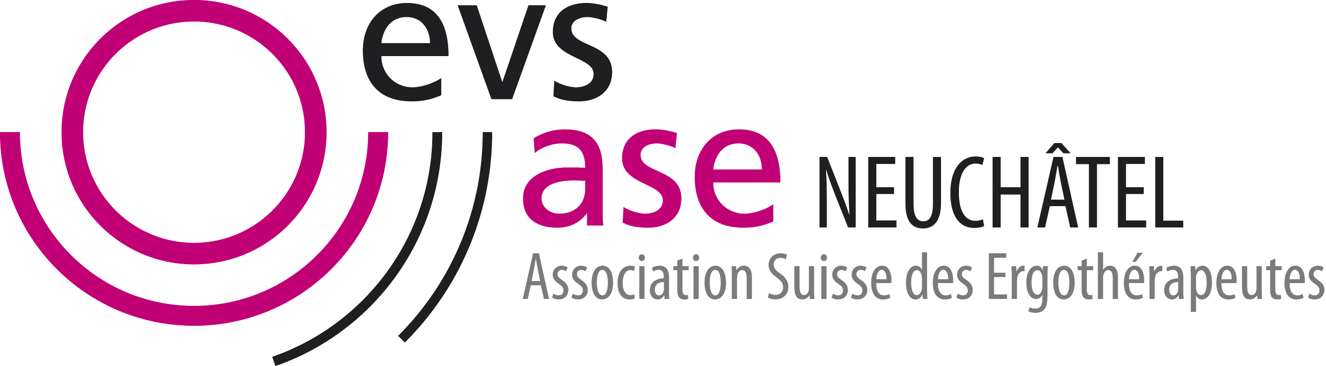 snase logo